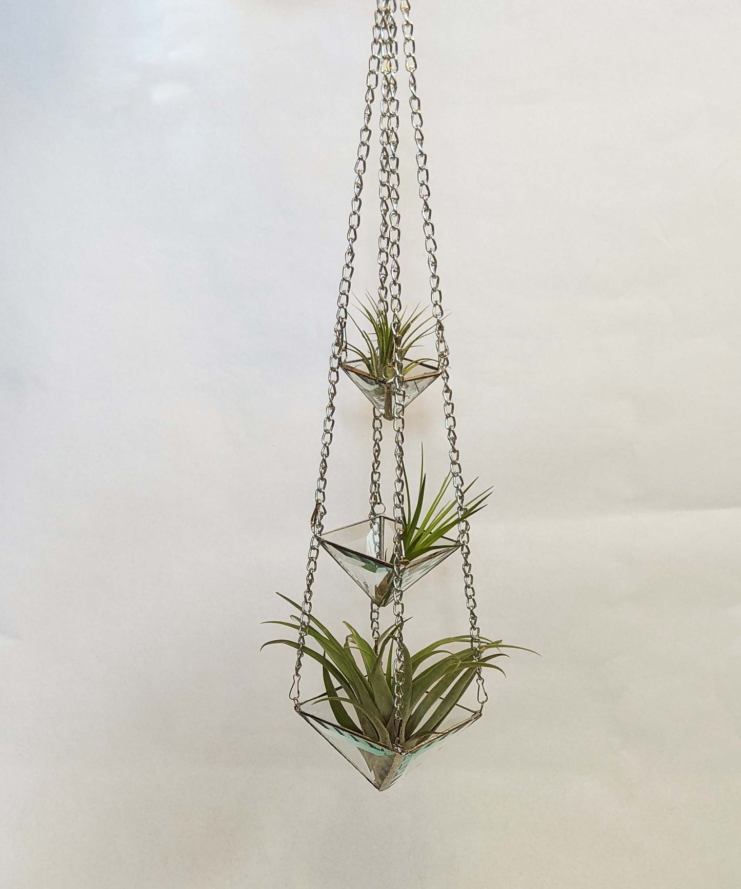 Tiered Air Plant Holder TUTORIAL