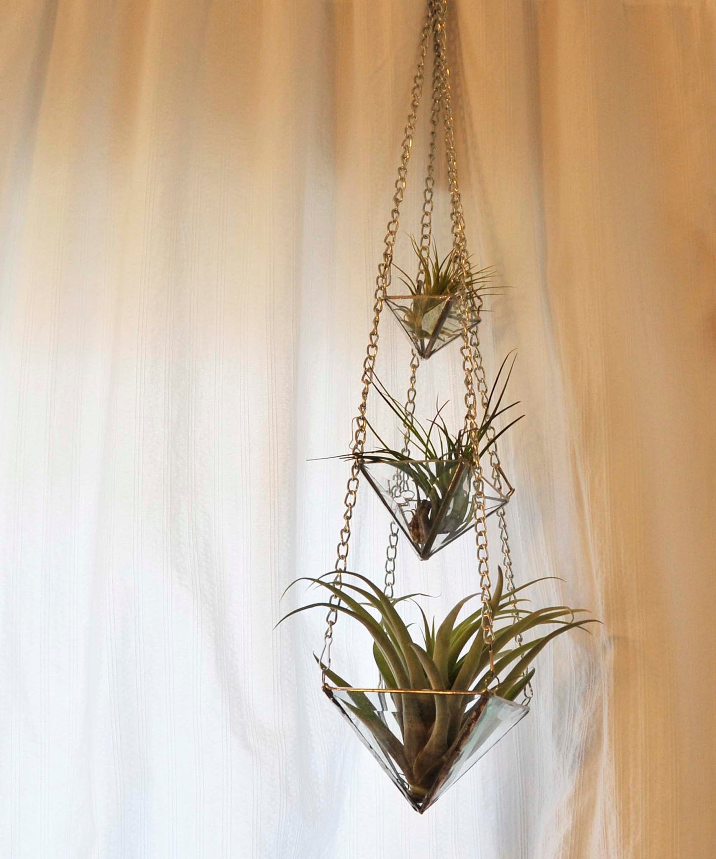 Tiered Air Plant Holder TUTORIAL