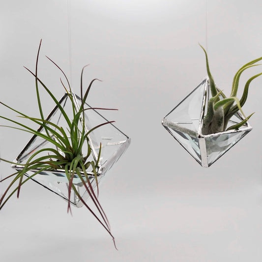 Geometric Pyramid Bevel Hanging Terrarium